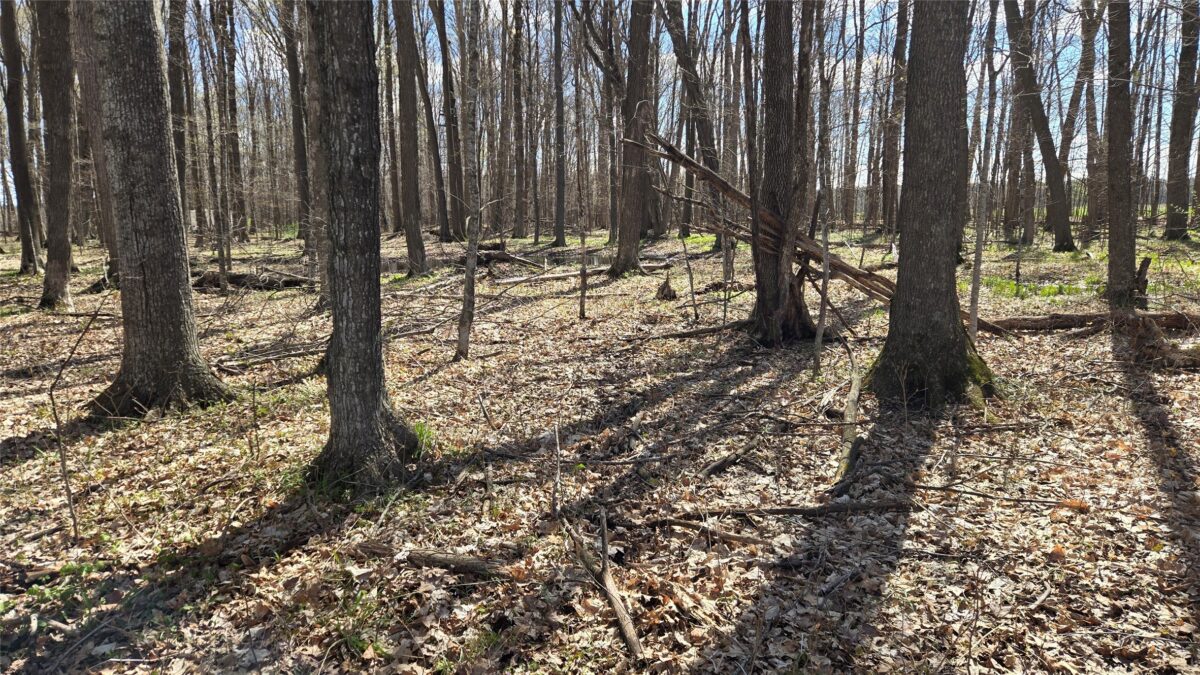 012345 26th Ave., Rice Lake WI 54868 - Land house for sale - MLS #1602600 - image14