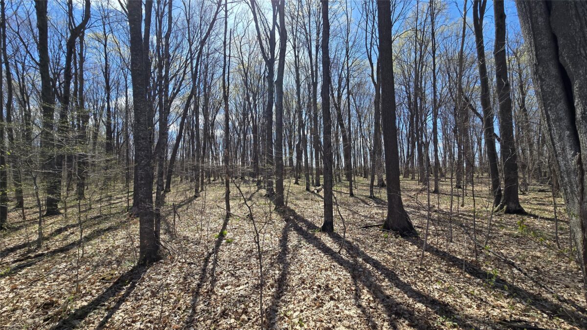 012345 26th Ave., Rice Lake WI 54868 - Land house for sale - MLS #1602600 - image16