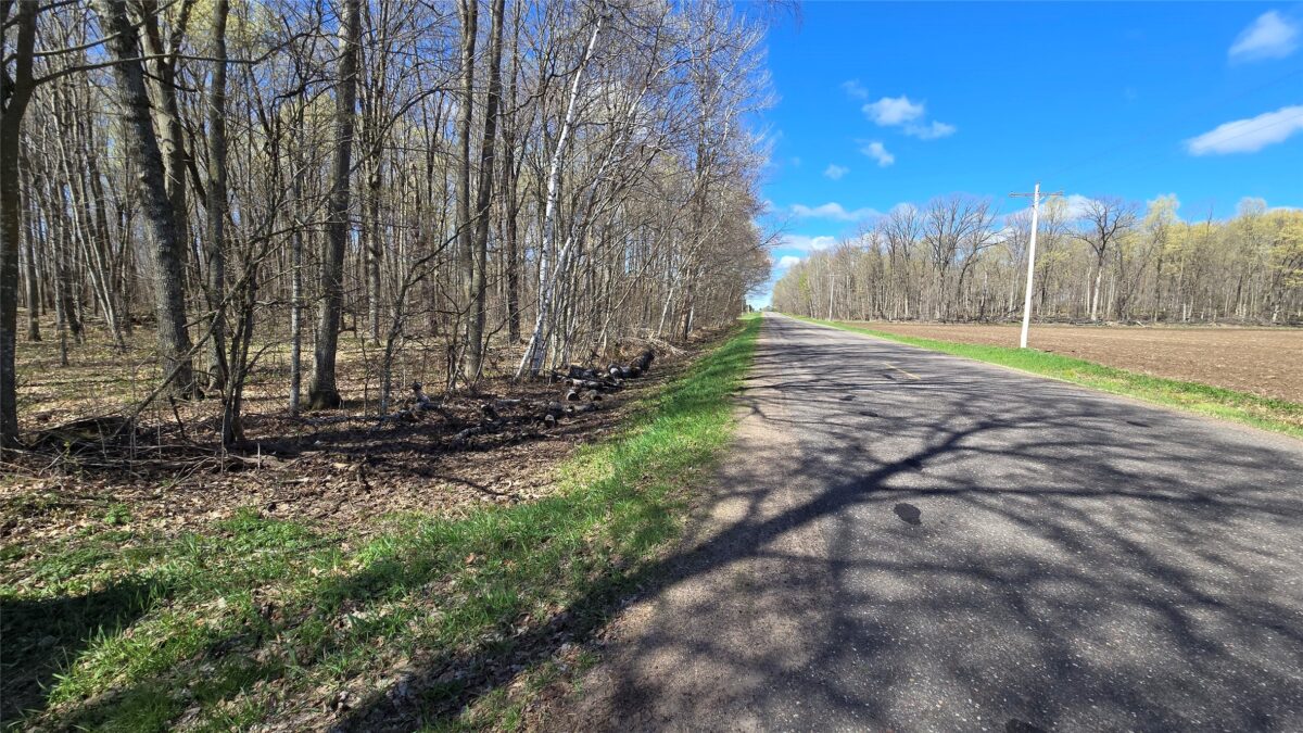 012345 26th Ave., Rice Lake WI 54868 - Land house for sale - MLS #1602600 - image17