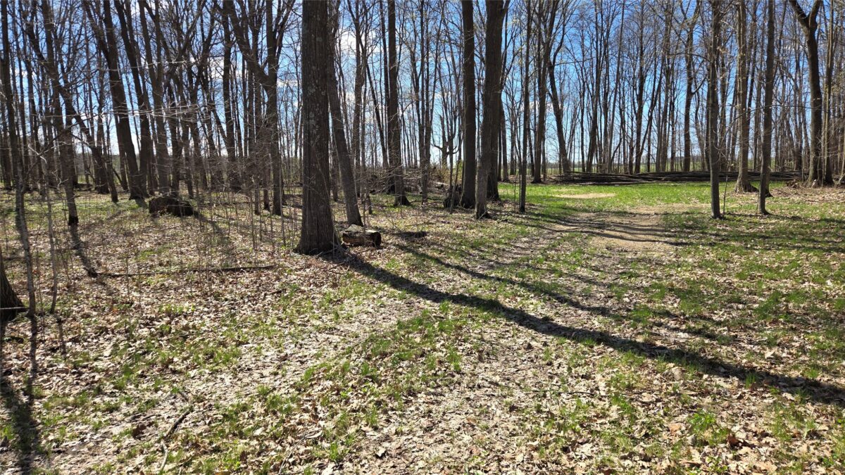 012345 26th Ave., Rice Lake WI 54868 - Land house for sale - MLS #1602600 - image3