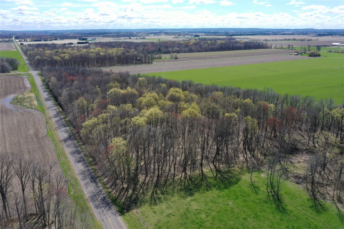 012345 26th Ave., Rice Lake WI 54868 - Land house for sale - MLS #1602600 - image21