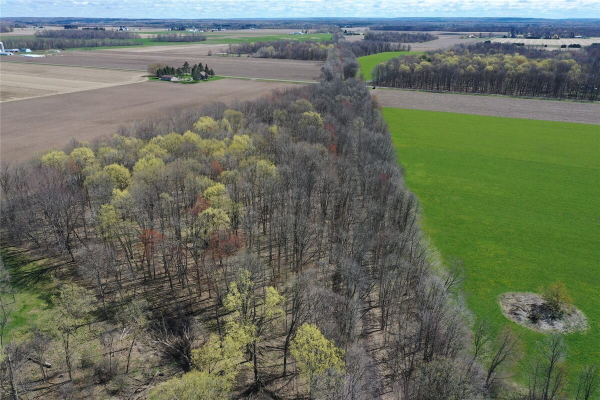 012345 26th Ave., Rice Lake WI 54868 - Land house for sale - MLS #1602600 - image22