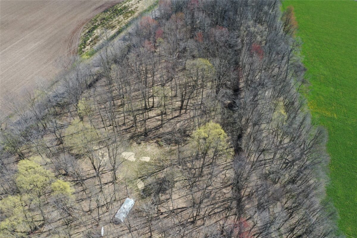 012345 26th Ave., Rice Lake WI 54868 - Land house for sale - MLS #1602600 - image23