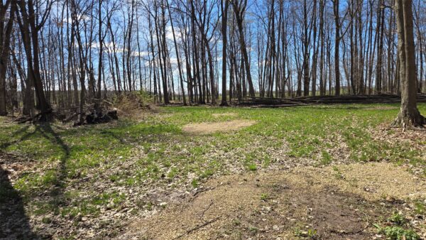 012345 26th Ave.  Rice Lake WI 54868