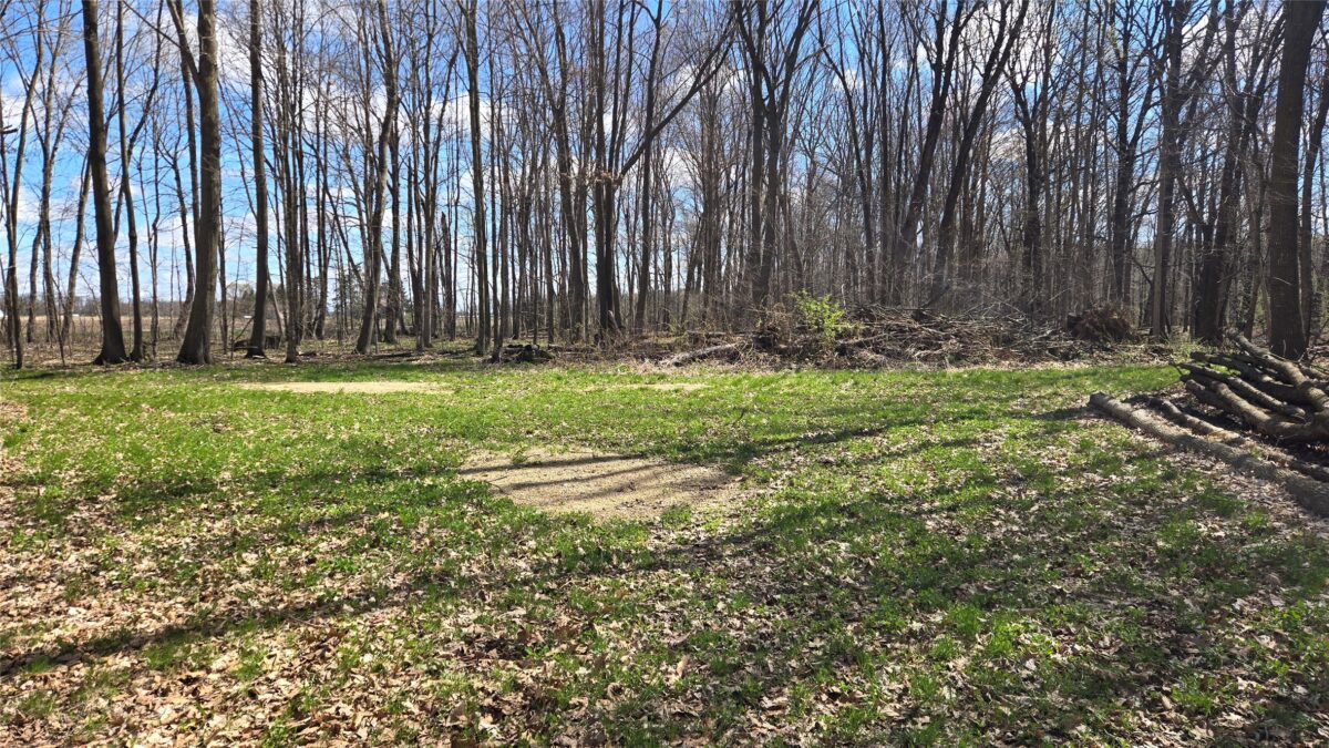 012345 26th Ave., Rice Lake WI 54868 - Land house for sale - MLS #1602600 - image4