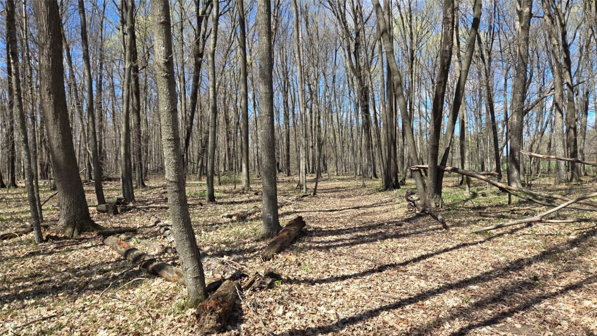 012345 26th Ave., Rice Lake WI 54868 - Land house for sale - MLS #1602600 - image5