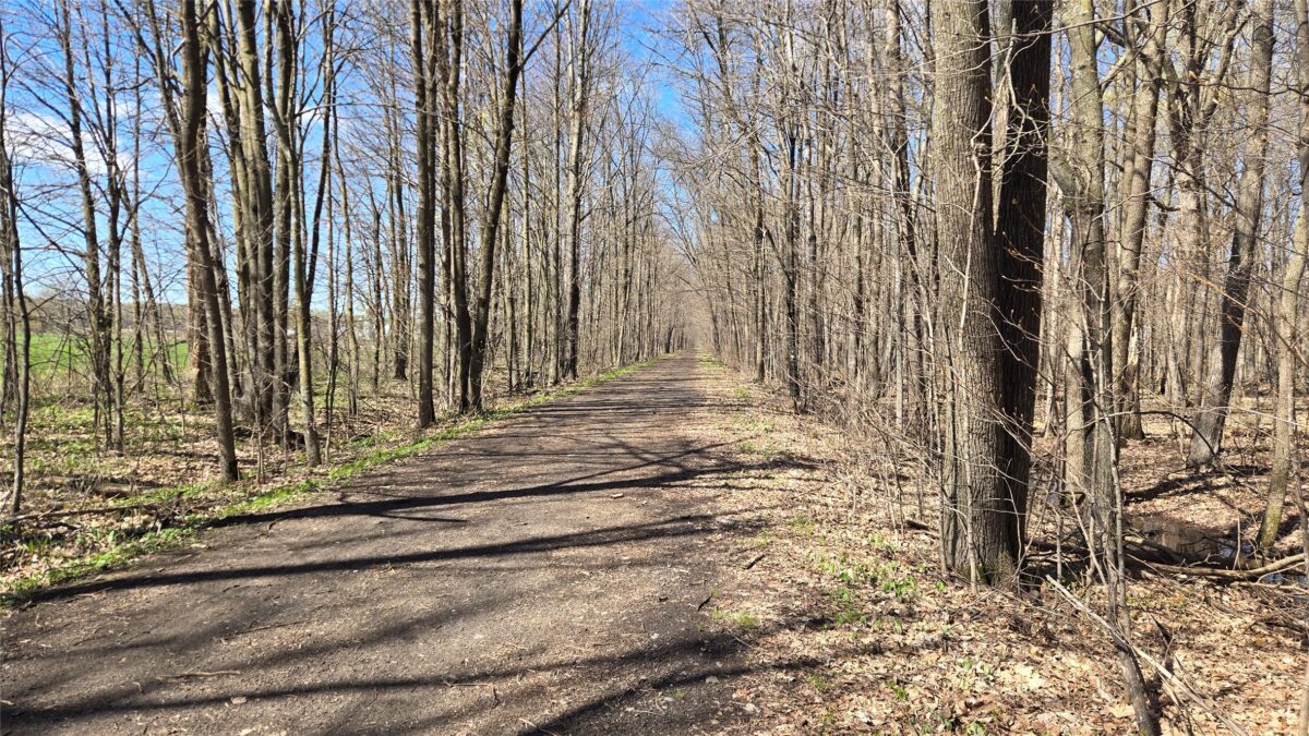 012345 26th Ave., Rice Lake WI 54868 - Land house for sale - MLS #1602600 - image7