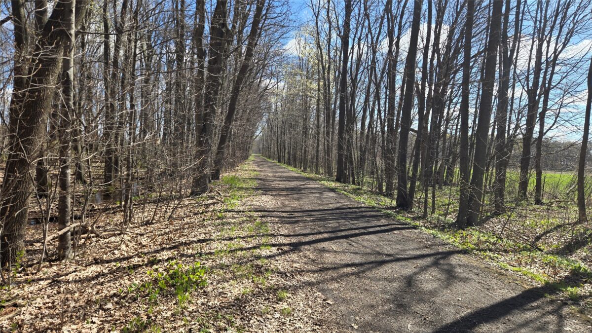 012345 26th Ave., Rice Lake WI 54868 - Land house for sale - MLS #1602600 - image8