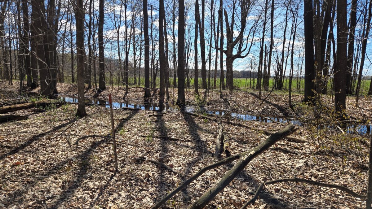 012345 26th Ave., Rice Lake WI 54868 - Land house for sale - MLS #1602600 - image9