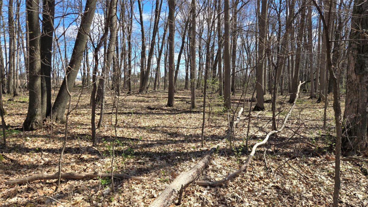 012345 26th Ave., Rice Lake WI 54868 - Land house for sale - MLS #1602600 - image10