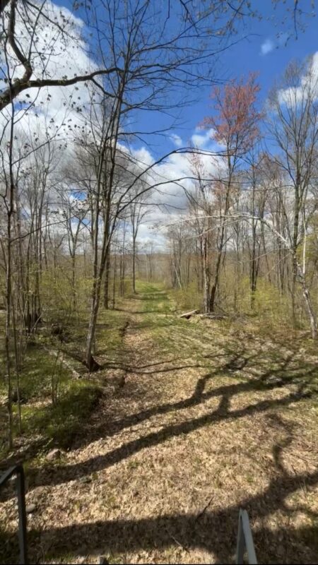 1-10 Parcels County Hwy 27, Exeland WI 54835 - Land house for sale - MLS #1601818 - image12