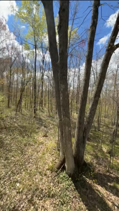 1-10 Parcels County Hwy 27, Exeland WI 54835 - Land house for sale - MLS #1601818 - image13
