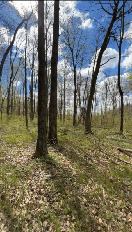 1-10 Parcels County Hwy 27, Exeland WI 54835 - Land house for sale - MLS #1601818 - image17