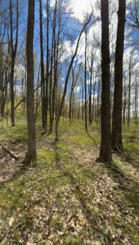 1-10 Parcels County Hwy 27, Exeland WI 54835 - Land house for sale - MLS #1601818 - image18