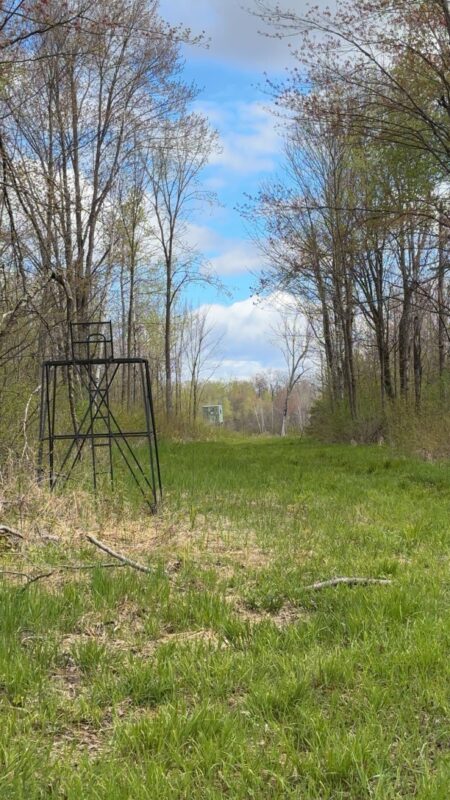 1-10 Parcels County Hwy 27, Exeland WI 54835 - Land house for sale - MLS #1601818 - image9