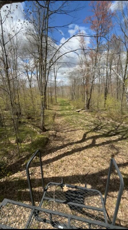 1-10 Parcels County Hwy 27, Exeland WI 54835 - Land house for sale - MLS #1601818 - image10