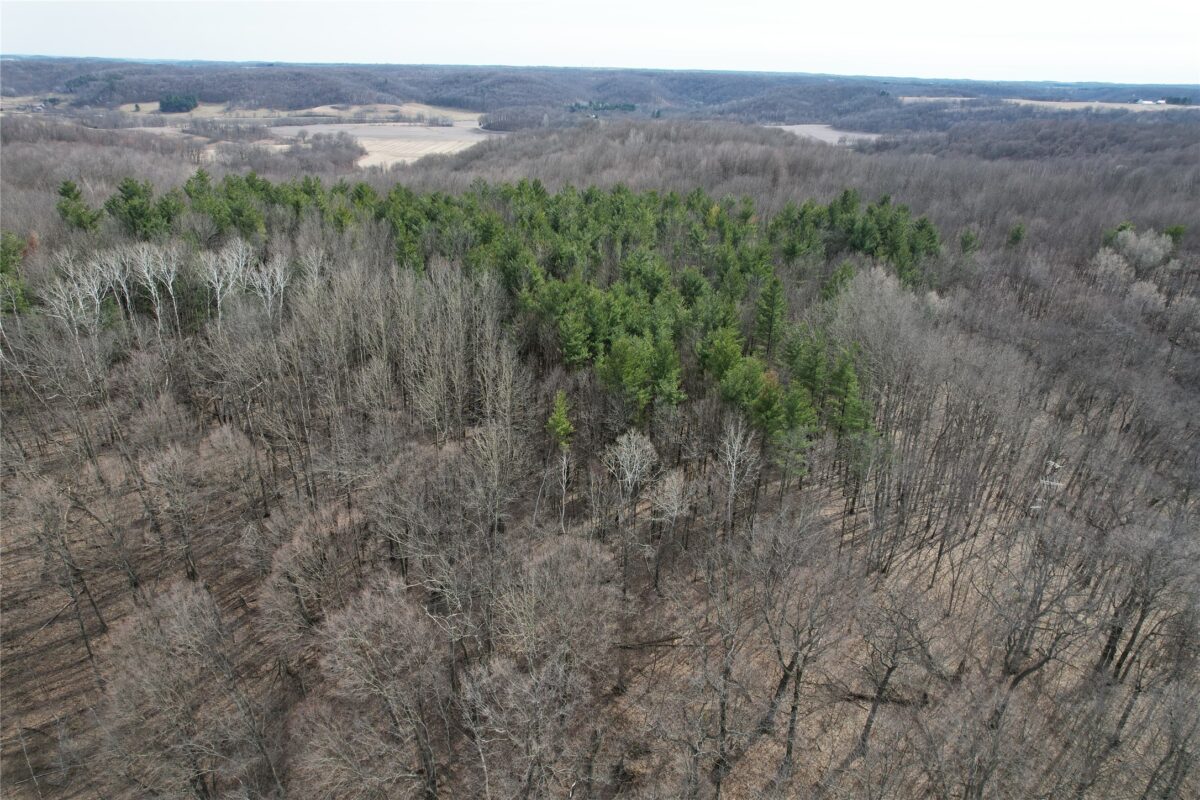 10 Ubel Drive, Knapp WI 54749 - Residential house for sale - MLS #1599586 - image10