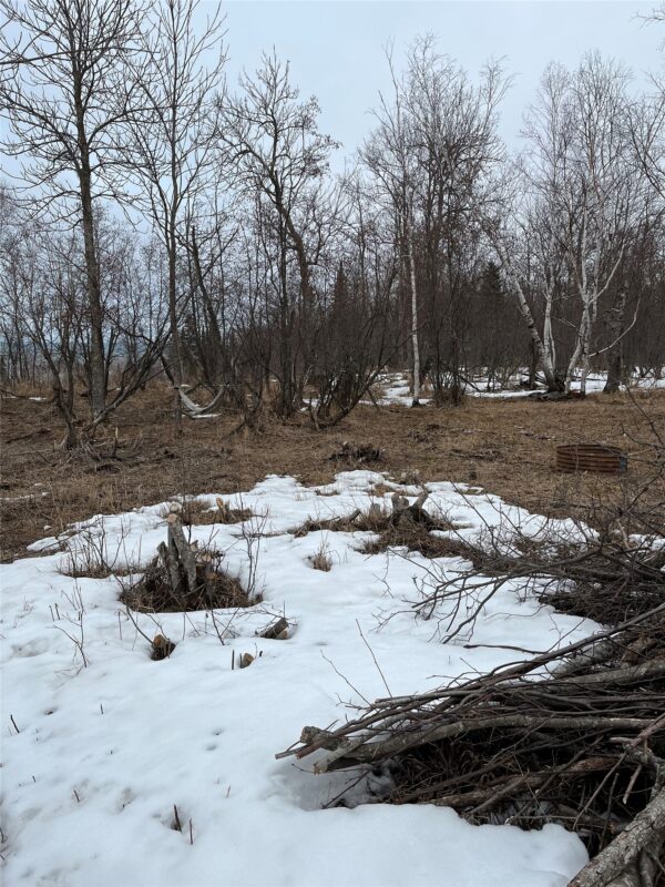 10427 Devries Road, Poplar WI 54864 - Land house for sale - MLS #1599941 - image17