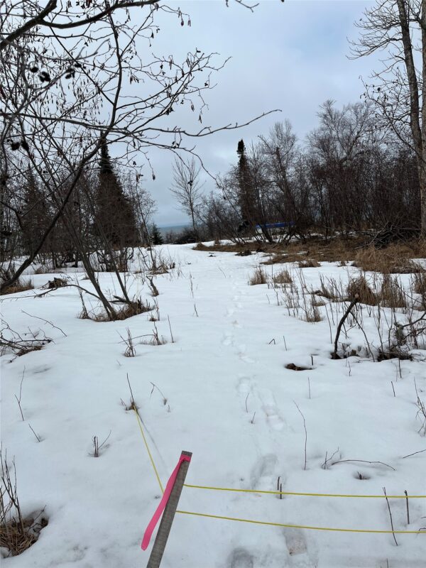 10427 Devries Road, Poplar WI 54864 - Land house for sale - MLS #1599941 - image18