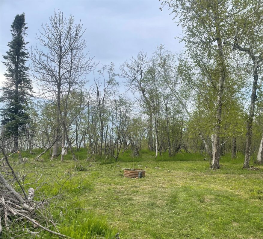 10427 Devries Road, Poplar WI 54864 - Land house for sale - MLS #1599941 - image6