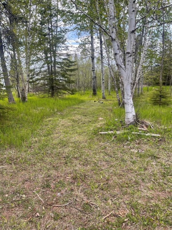 10427 Devries Road, Poplar WI 54864 - Land house for sale - MLS #1599941 - image9
