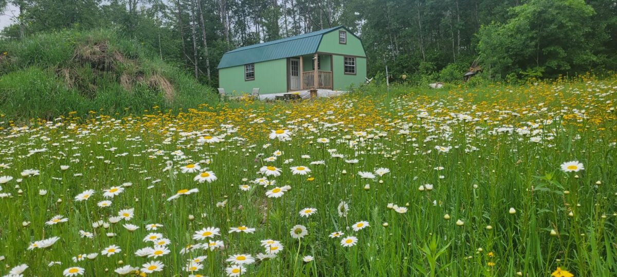 11116 Blackberry Road, Trego WI 54888 - Land house for sale - MLS #1601881 - image26