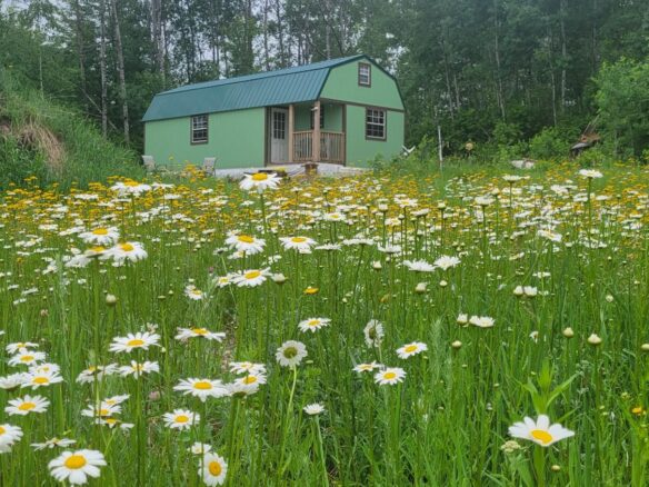 11116 Blackberry Road, Trego WI 54888 - Land house for sale - MLS #1601881 - image1
