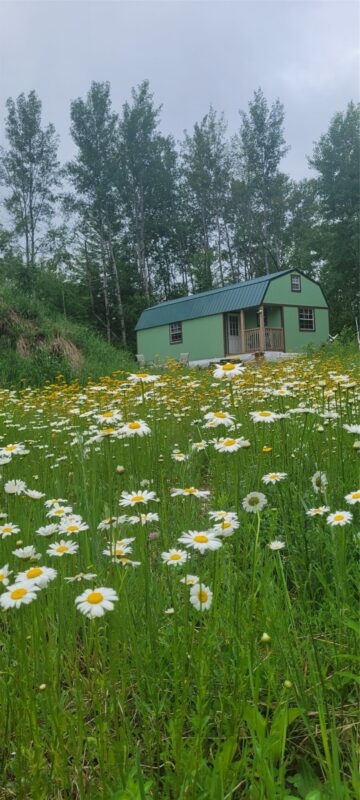 11116 Blackberry Road, Trego WI 54888 - Land house for sale - MLS #1601881 - image9
