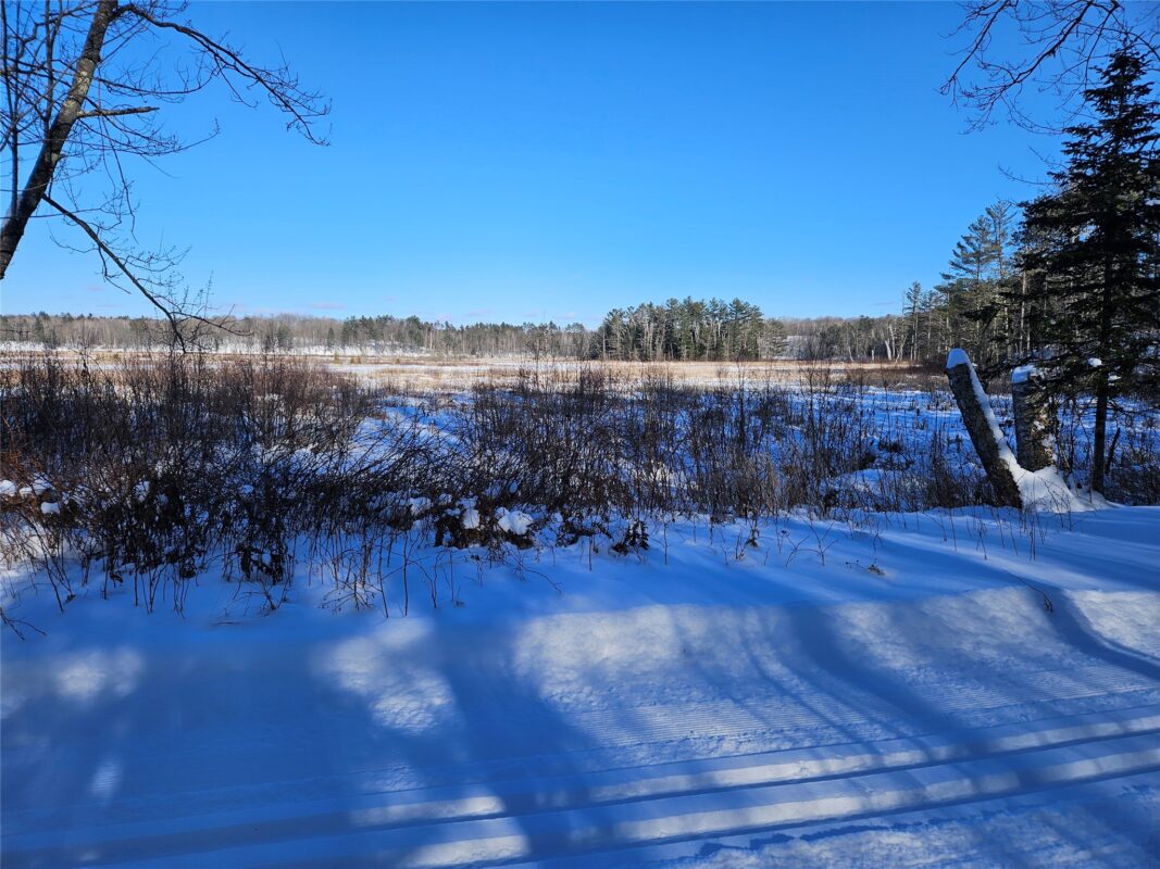 11256N Orion Road, Hayward WI 54843 - Residential house for sale - MLS #1599165 - image31