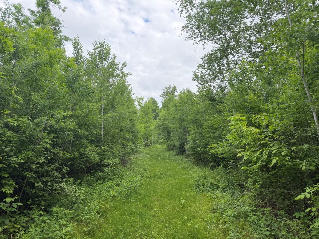 1130 Sunset Lane, Birchwood WI 54817 - Residential house for sale - MLS #1601856 - image42