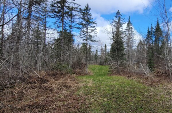 11553N County Hwy A  Hayward WI 54843