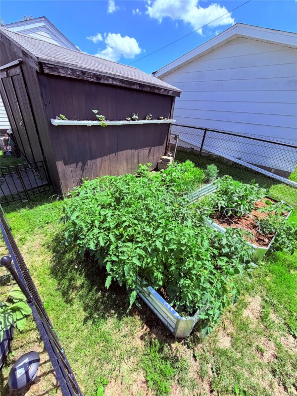 1220 Barron Street, Eau Claire WI 54703 - Residential house for sale - MLS #1602229 - image3
