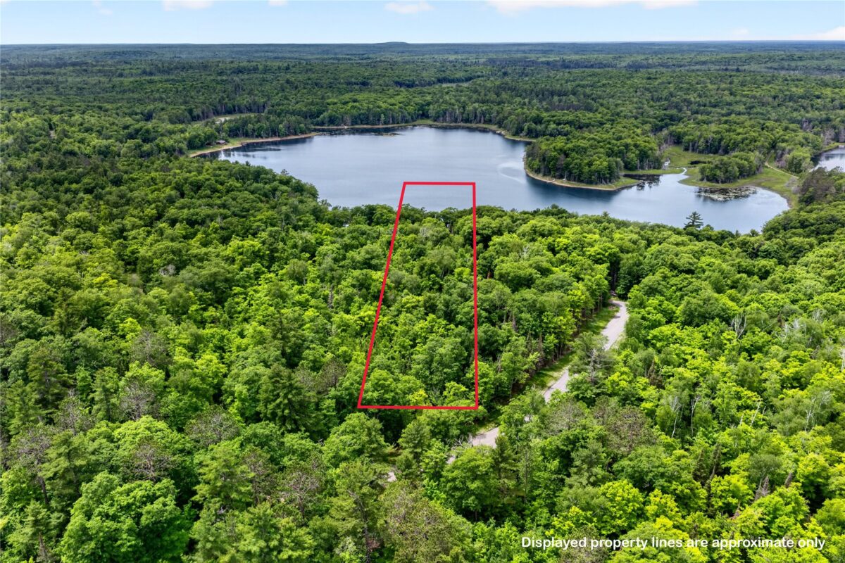 12765 Brady Road, Drummond WI 54832 - Land house for sale - MLS #1602640 - image3