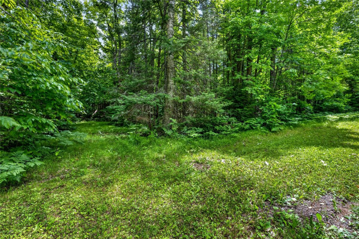 12765 Brady Road, Drummond WI 54832 - Land house for sale - MLS #1602640 - image28