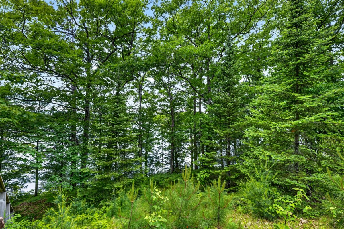 12765 Brady Road, Drummond WI 54832 - Land house for sale - MLS #1602640 - image33