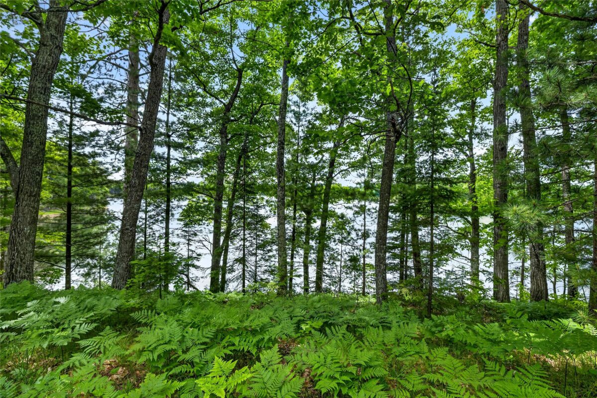 12765 Brady Road, Drummond WI 54832 - Land house for sale - MLS #1602640 - image35