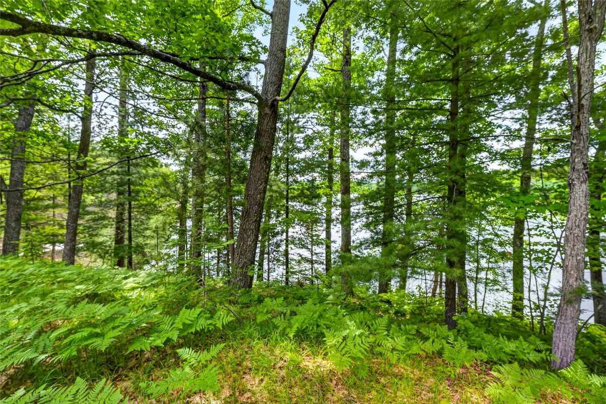 12765 Brady Road, Drummond WI 54832 - Land house for sale - MLS #1602640 - image36