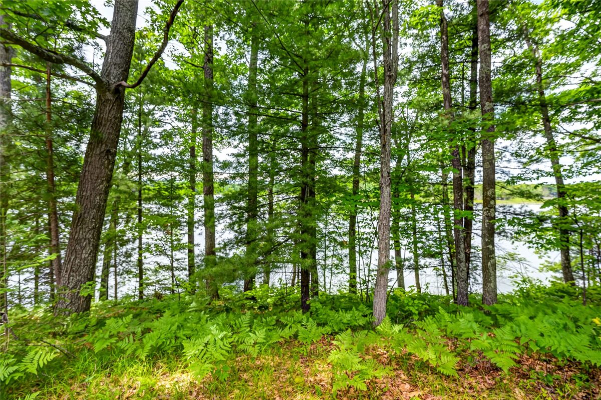 12765 Brady Road, Drummond WI 54832 - Land house for sale - MLS #1602640 - image37