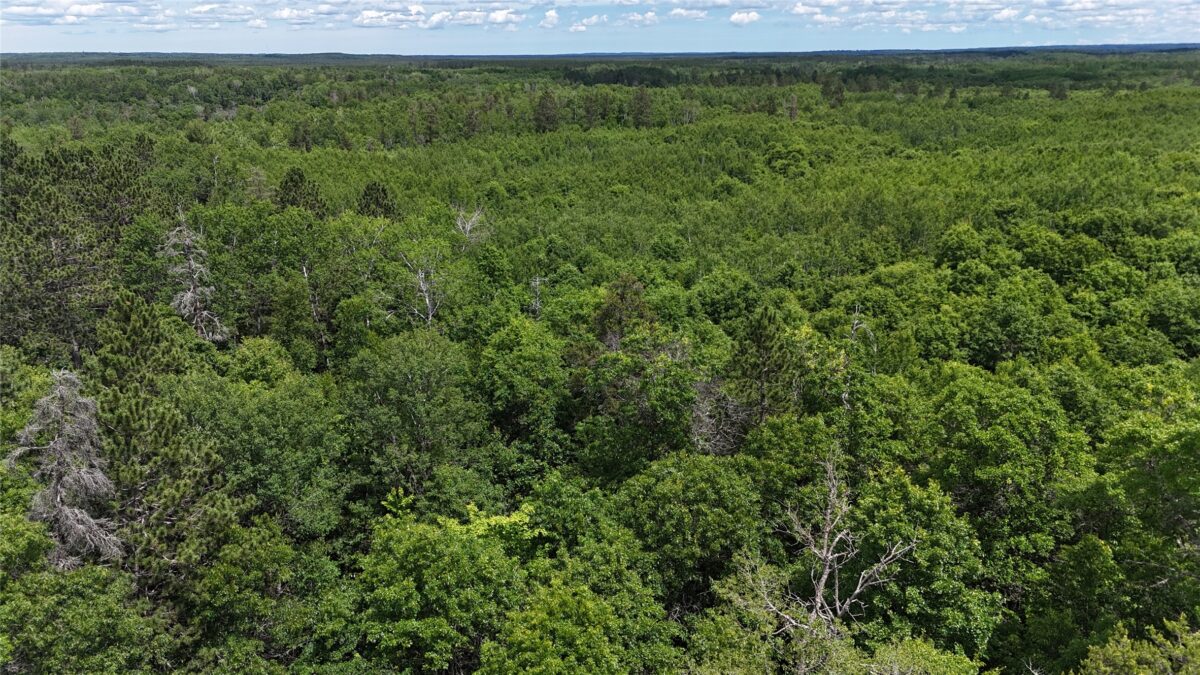 12997 Mail Road, Gordon WI 54838 - Residential house for sale - MLS #1602637 - image31