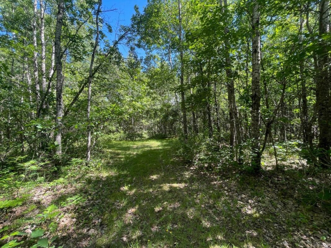 12997 Mail Road, Gordon WI 54838 - Residential house for sale - MLS #1602637 - image39