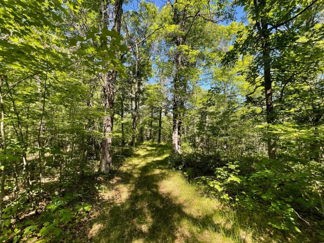 12997 Mail Road, Gordon WI 54838 - Residential house for sale - MLS #1602637 - image42