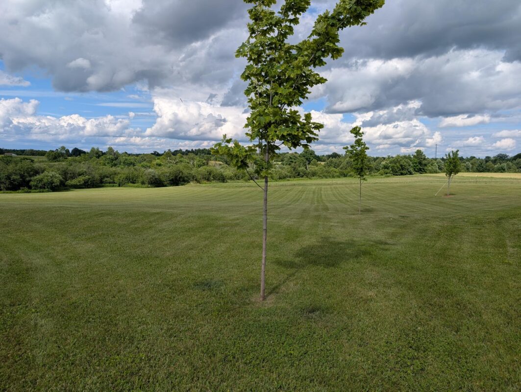 1356 14th Street, Turtle Lake WI 54889 - Residential house for sale - MLS #1599874 - image46