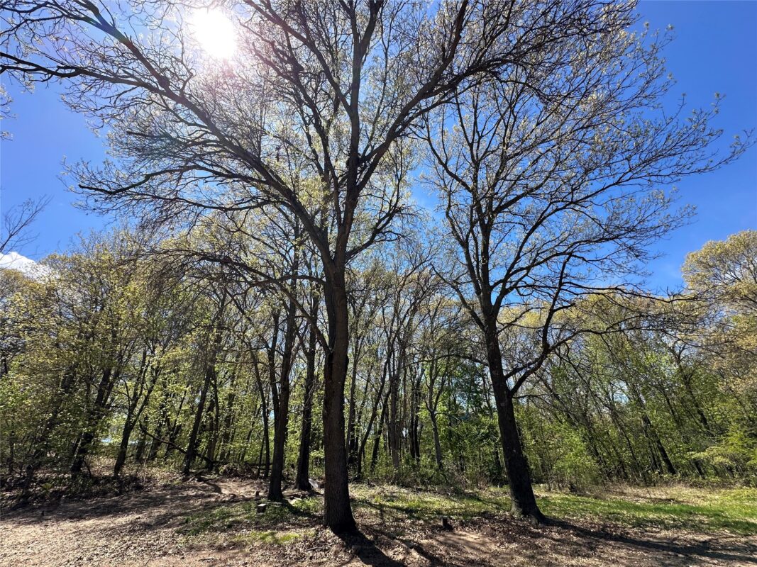 1438 Pleasant Hill Road, Eau Claire WI 54703 - Land house for sale - MLS #1601478 - image3