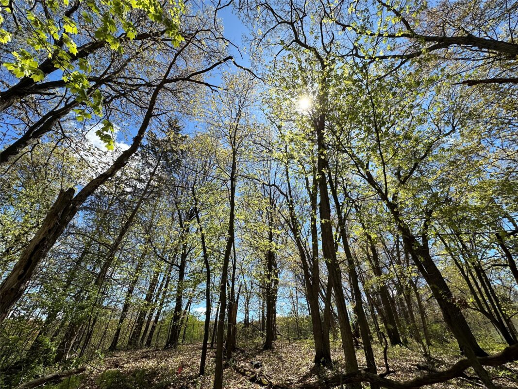 1438 Pleasant Hill Road, Eau Claire WI 54703 - Land house for sale - MLS #1601478 - image5