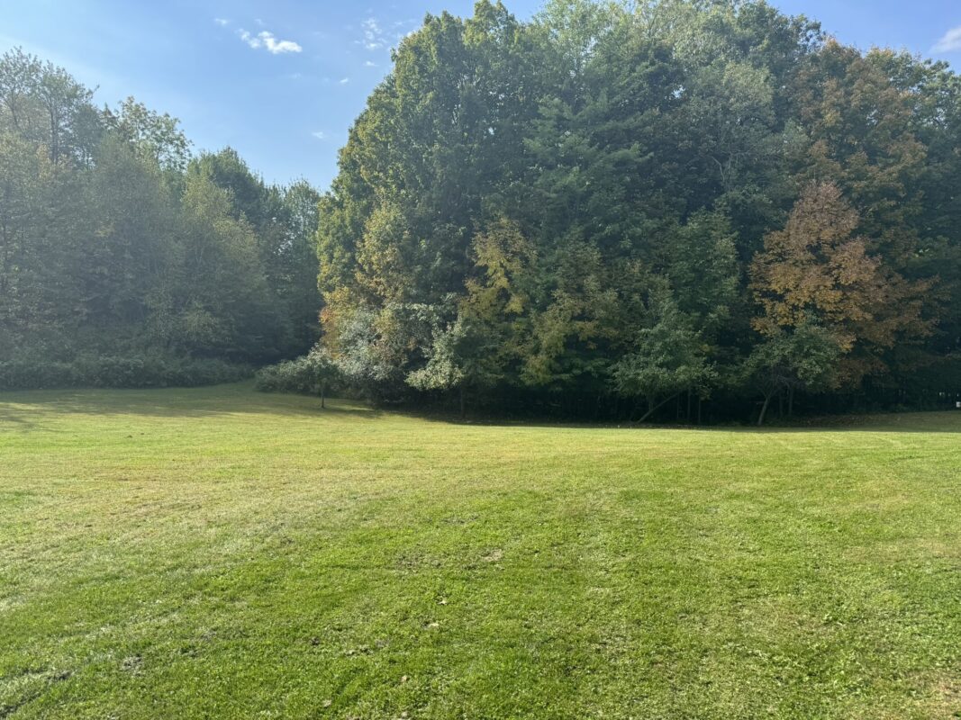1449 3 1/2 Avenue, Dallas WI 54733 - Residential house for sale - MLS #1601725 - image5