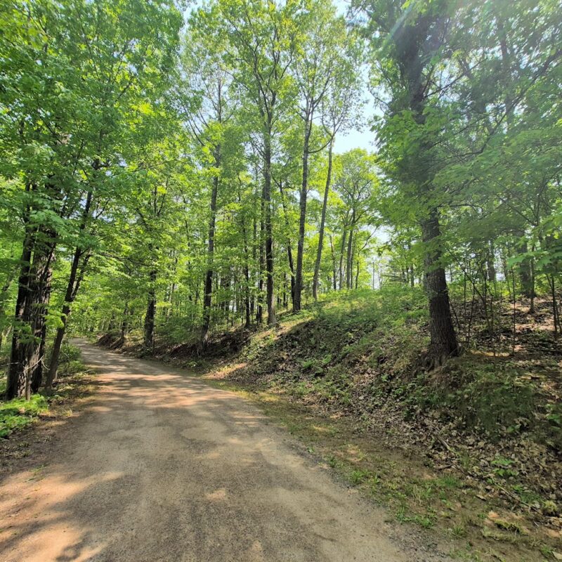 14954 Goss Road, Hayward WI 54843 - Land house for sale - MLS #1599076 - image2