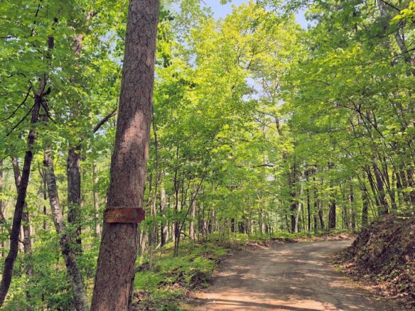 14954 Goss Road, Hayward WI 54843 - Land house for sale - MLS #1599076 - image1