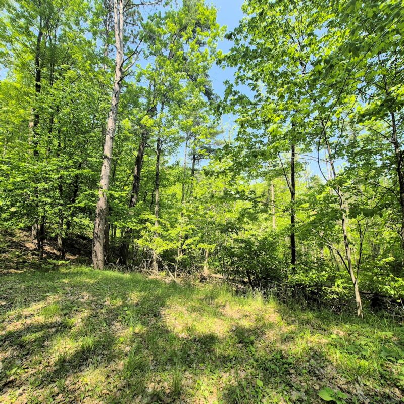 14954 Goss Road, Hayward WI 54843 - Residential house for sale - MLS #1599072 - image32