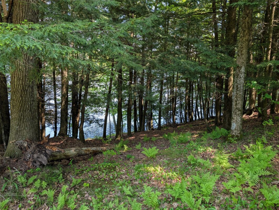 14967 360th Street, Stanley WI 54768 - Land house for sale - MLS #1601607 - image2