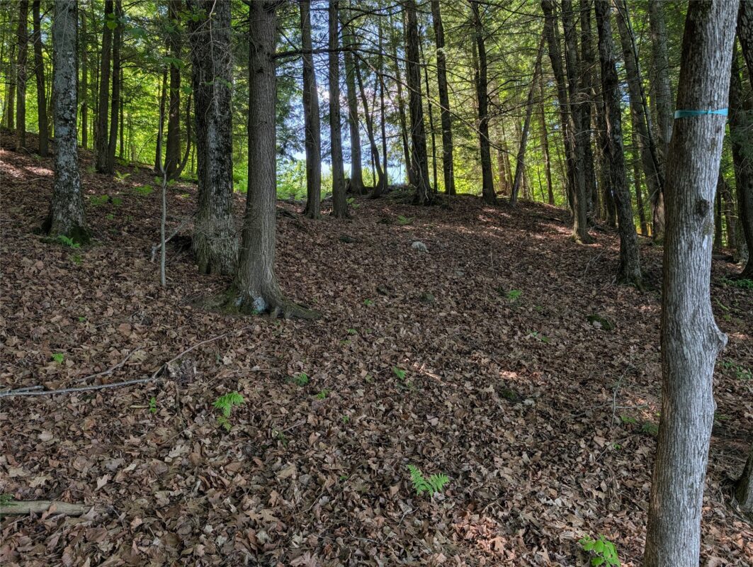 14967 360th Street, Stanley WI 54768 - Land house for sale - MLS #1601607 - image11